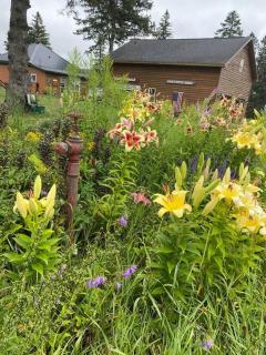 Centrally Located - Historic Blaney Park- Michigan - Germfask - 2