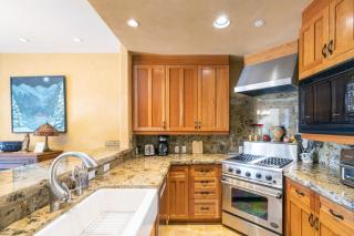 Gorgeous Granita Ski in-Ski out - 3