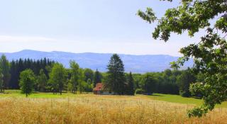 Dobrica Hunting Lodge - Bixad - 6