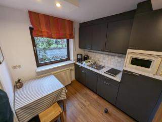 Appartment in der Auszeitoase Freystadt - 2 Zimmer, Billard, Sauna, Terrasse, Garten, Ladestation, nahe an Messe Nürnberg - Freystadt - 6