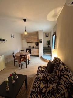 Casa delle farfalle - Alberoro - 0