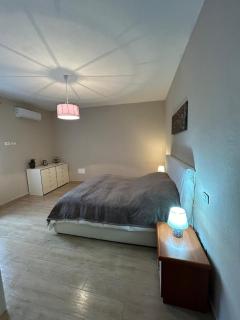 Casa delle farfalle - Alberoro - 1