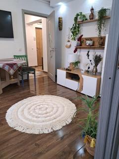 Apartament Medias Metanului - Mediaş - 6