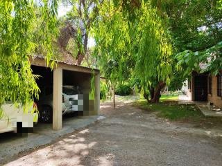 Old Willow - Chacras de Coria - 2