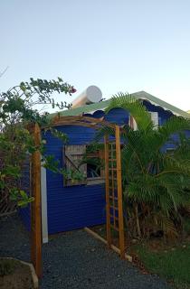 La Mare à Cuja - Sainte-Rose - 5