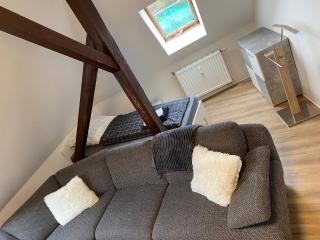 FeWo WIEKO Plauen Leibnizstr. H1 DG Mitte - Plauen - 8