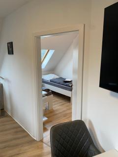 FeWo WIEKO Plauen Leibnizstr. H1 DG Mitte - Plauen - 6