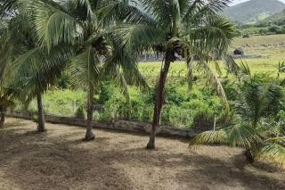 Villa Chill Sainte Anne - Sainte-Anne - 0