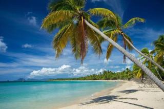 Villa Chill Sainte Anne - Sainte-Anne - 2
