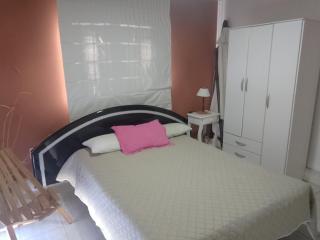 La dominguera - Mendoza - 1