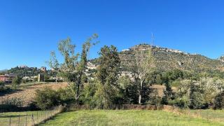 Cassiopea - Arce - 7