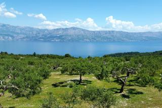 Secluded family friendly house Cove Ducac, Brac - 14312 - Postira - 8