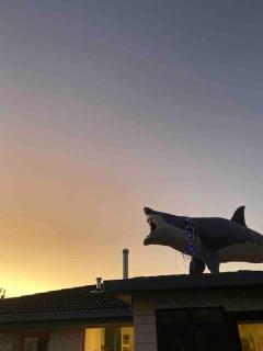The Shark Haus - Peterborough - 1