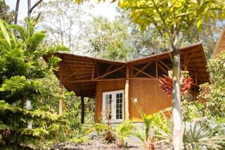 Kalani Oceanside Retreat - Pahoa - 6