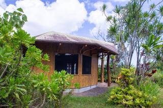 Kalani Oceanside Retreat - Pahoa - 3