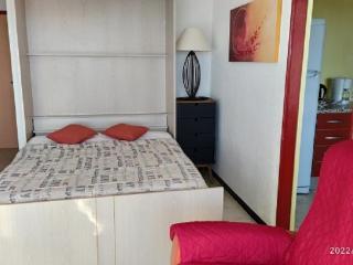 Studio 4 pers avec terrasse, vue montagne, parking, animaux admis - FR-1-776-39 - 7