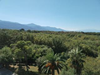 Argelès, T2 proche plage avec clim et parking - FR-1-776-37 - 8