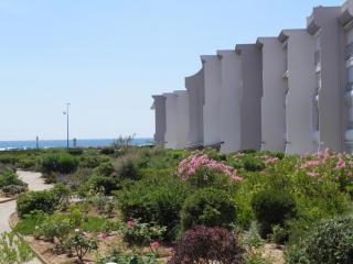 Studio à Sète - Ascenseur & Parking - FR-1-338-555 - 2