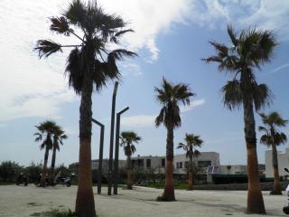 Studio bord de mer avec ascenseur et parking sécurisé - FR-1-338-555 - Sète - 1