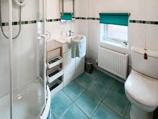 Glanllyn Lodge - Llanuwchllyn - 2