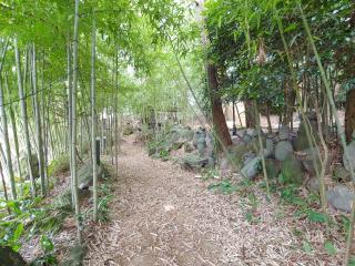 Star House - Jeju - 6