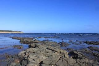 Marjalis Cottage, your perfect country getaway! - Wonthaggi - 1