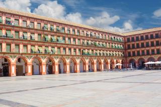 Vivienda Señorial Centro Córdoba - Cordoue - 4