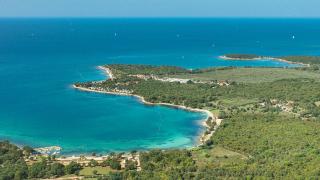 Mirko - Poreč - 8