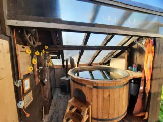 Musik und Natur - Balboo - Bayrischer Wald - Sauna - Pool - Grillen - Spiegelau - 4