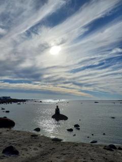 Tern Beach Studio - Jacobs Bay - 8