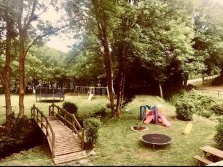 Le Moulin de Gueuzon - 4