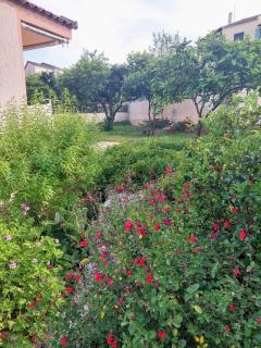 Summer Village House Popi - 8