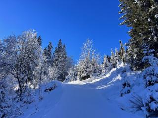 Staufen Apartment - 1