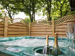 Pond Farm Woodlands - Ugthorpe - 8