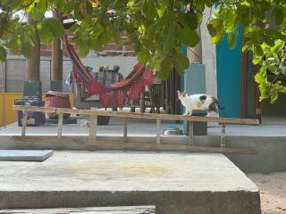 Artists Loft/Mansion on Pipa Beach - Pipa - 3