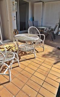 Petunies - Platja d'Aro - 1