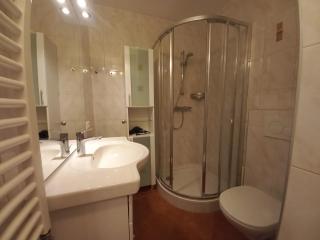 SANDRA Haus KMB Seeappartement am Ossiacher See mit direktem Seezugang und Hallenbad - Tschöran - 1