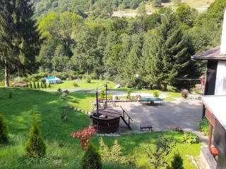 Cabana Basmelor cu Ciubar - Cisnădie - 8