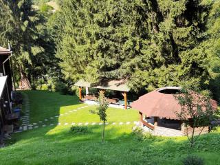 Cabana Basmelor cu Ciubar - Cisnădie - 6