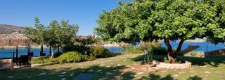 Villa Daphne by the Sea - La Canée - 3