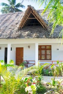 Zangreen Bungalows - Jambiani - 0