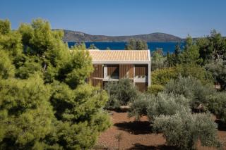 Ilya Botanic Suites - Steni Vala Alonissos - 7