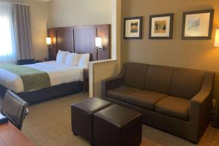Comfort Suites Peoria I-74 - Peoria - 1