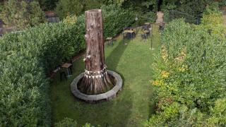 DoubleTree by Hilton St. Anne's Manor - Bracknell - 9