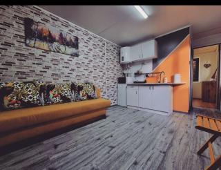 Tiny House Căsuța cocoțată - Valea Doftanei - 2camere - Valea Doftanei - 4