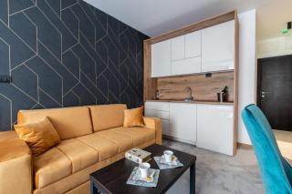 Lux studio Andrej A43 Hotel Djina - Kopaonik - 8
