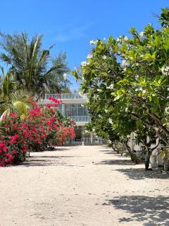 Seri Resort Gili Meno - Adults Only - Gili Meno - 8