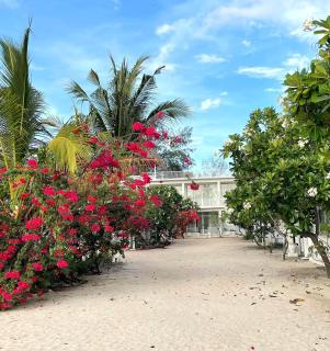 Seri Resort Gili Meno - Adults Only - Gili Meno - 4