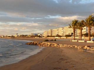 Appartement 2P avec cabine, grande terrasse, parking, 400m plage - FR-1-307-129 - Le Grau-du-Roi - 6