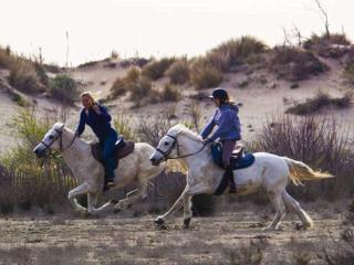 Studio Cabine avec Clim, Piscine, Ascenseur et Parking, Proche Plage et Commerces - FR-1-307-143 - 1